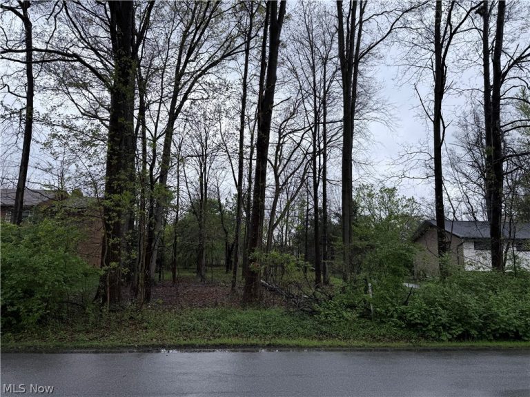 Vincent Road, Silver Lake, OH - Photo 3