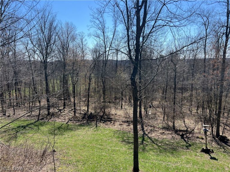 5180 Fresno Road, Dellroy, OH - Photo 6