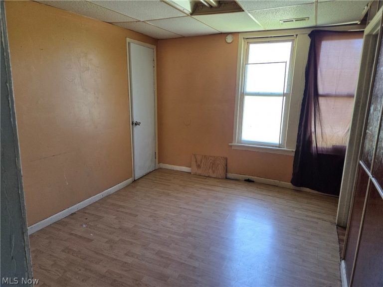 199 Mathews Street, Painesville, OH - Photo 4