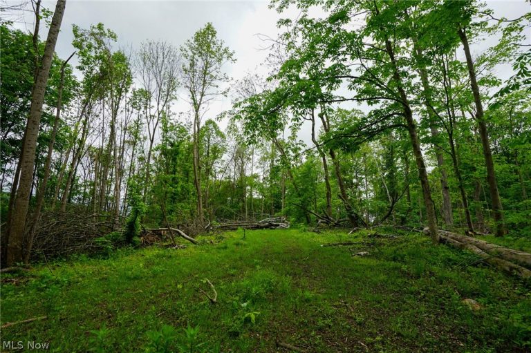 Ervin Ln, Stockport, OH - Photo 4