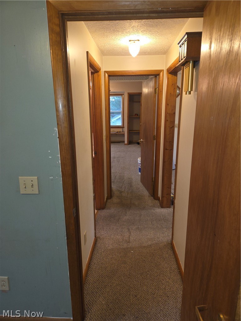 908 Cornell Street, Youngstown, OH - Photo 4
