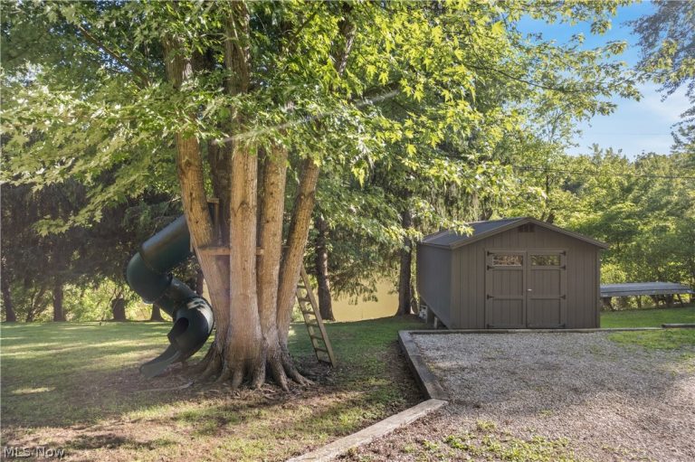 842 River Road, Davisville, WV - Photo 8