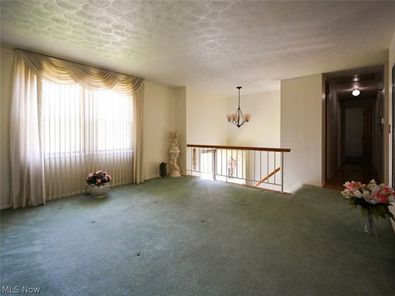 100 Blossom Lane, Niles, OH - Photo 4