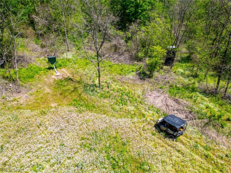 37500 Goose Run Road, Dexter City, OH - Photo 3