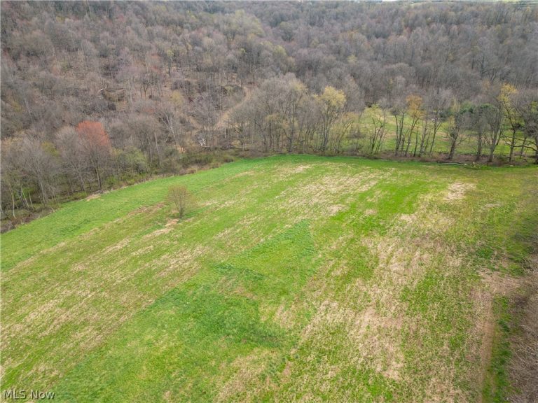 8480 Possum Hollow Road, Dundee, OH - Photo 2