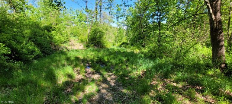 72577 Old Twenty-One Road, Kimbolton, OH - Photo 3