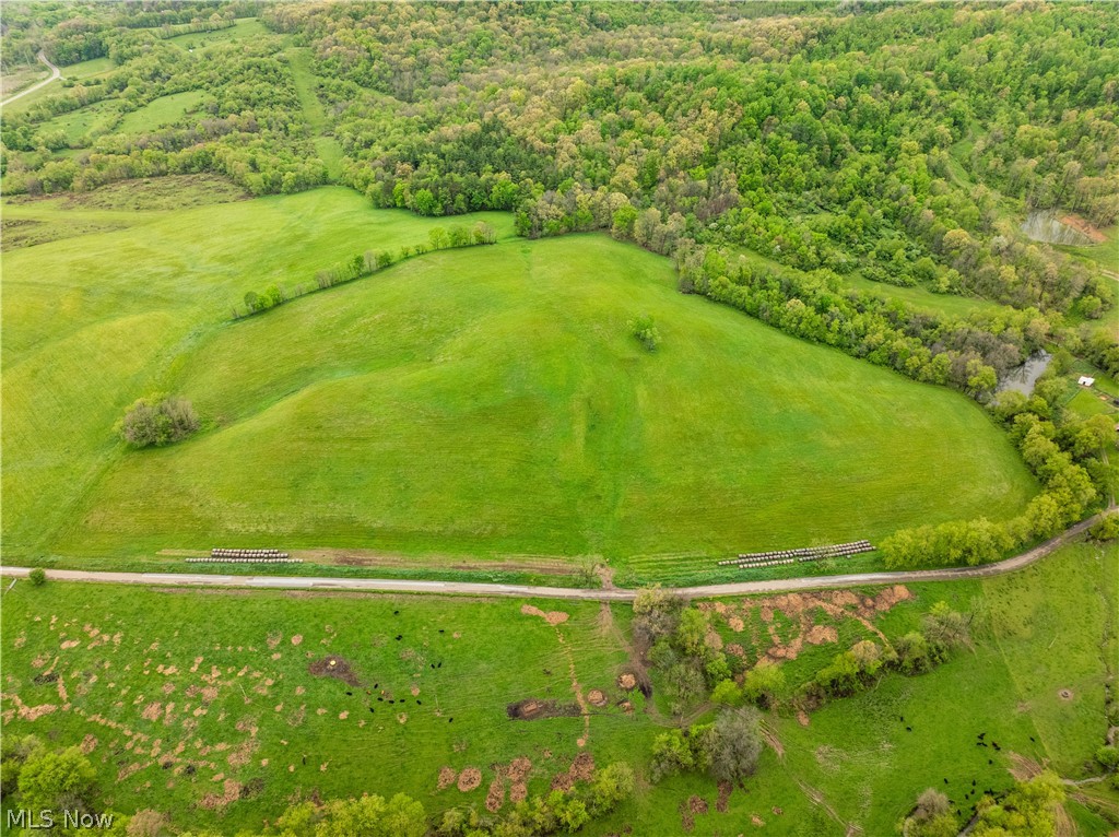 Timmerman Road, Bowerston, OH