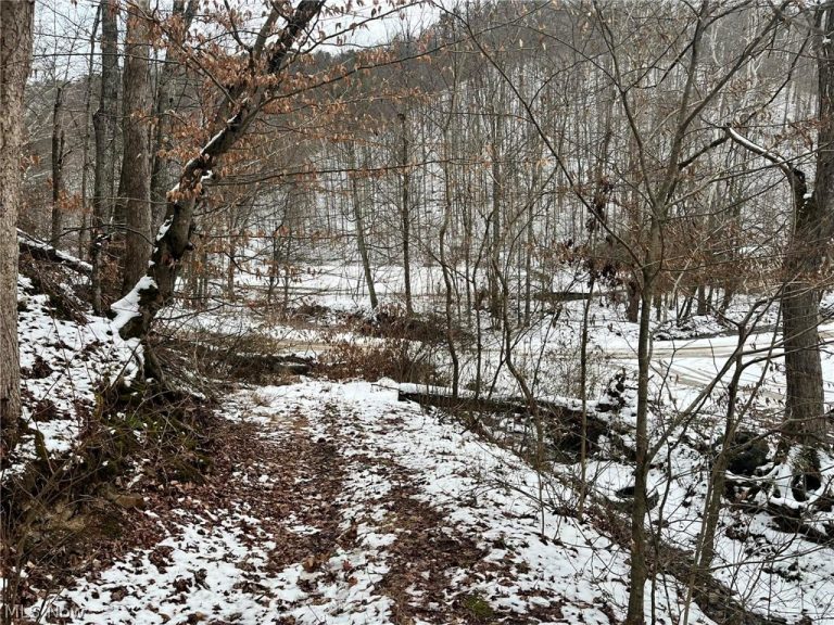 Rt 29/1 Grannies Creek RD., Clendenin, WV - Photo 2