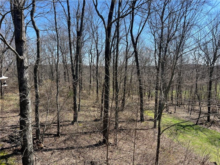 5180 Fresno Road, Dellroy, OH - Photo 2
