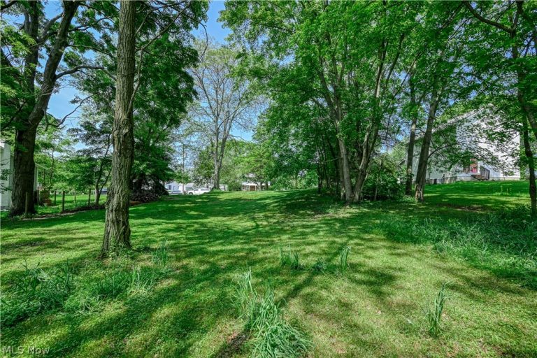 1921 Dwight Street, Cuyahoga Falls, OH - Photo 3