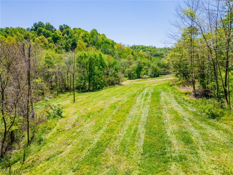 37500 Goose Run Road, Dexter City, OH - Photo 8