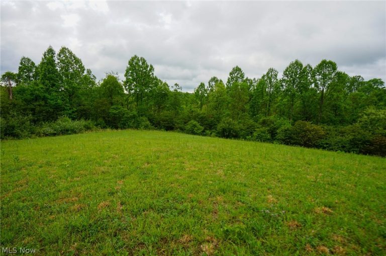 Van Fossen Ln, Chesterhill, OH - Photo 8