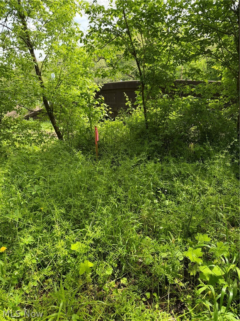 Harrietsville SR 145 Road, Lower Salem, OH - Photo 2