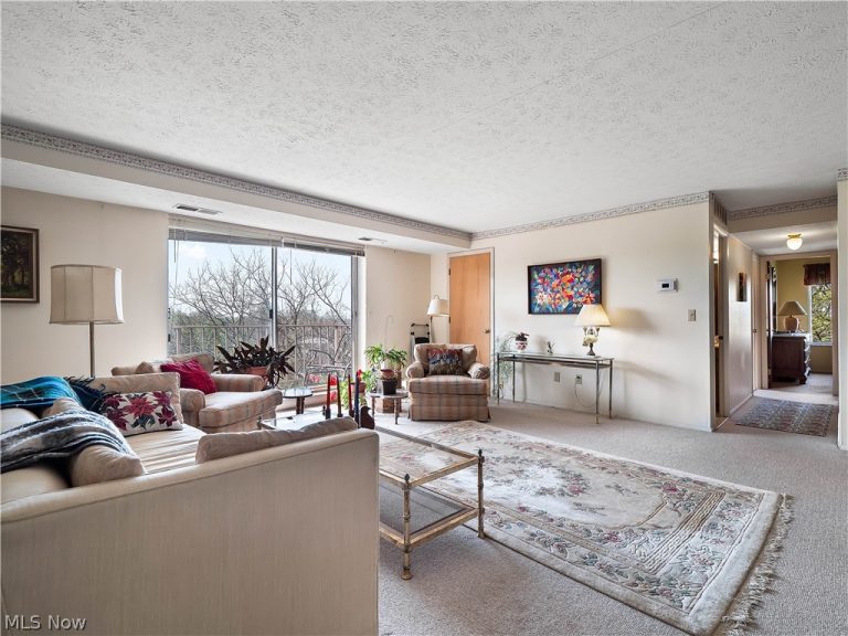 50 Rocky River Drive #705, Berea, OH - Photo 8