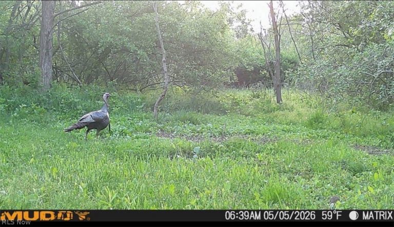 Pugh Road, Cadiz, OH - Photo 5