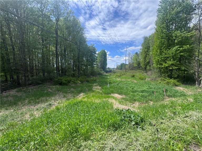V-L Parkman Road, Windham, OH - Photo 4
