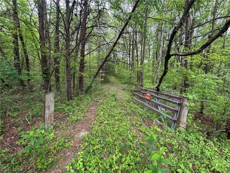 Wesley Chapel, Mount Perry, OH, 43760