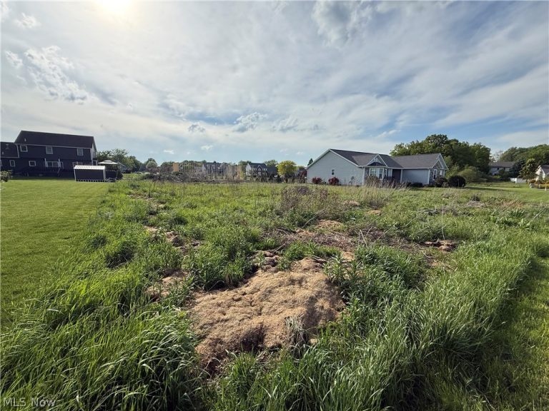 20 Oakview Crossing, Canfield, OH - Photo 2