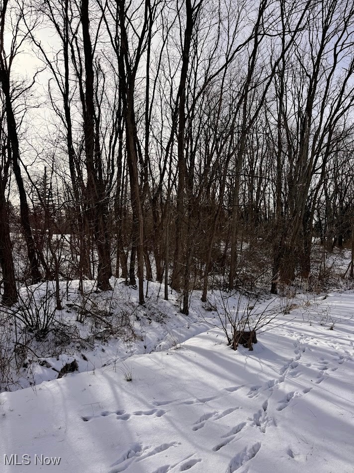 V/L Hartman Road, Wadsworth, OH - Photo 3