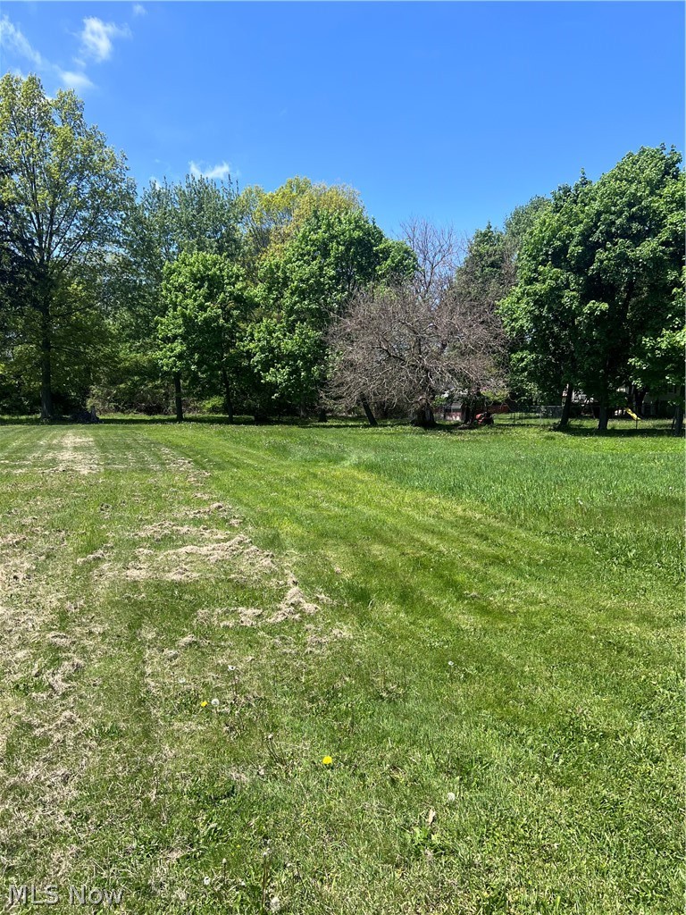 345 Park Road, Painesville, OH - Photo 2