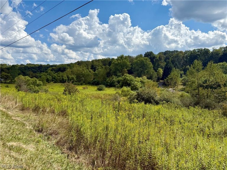 Aster Road, Carrollton, OH - Photo 2