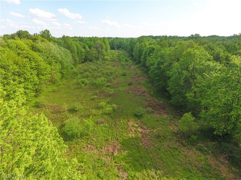13004 Edison Street, Alliance, OH - Photo 4