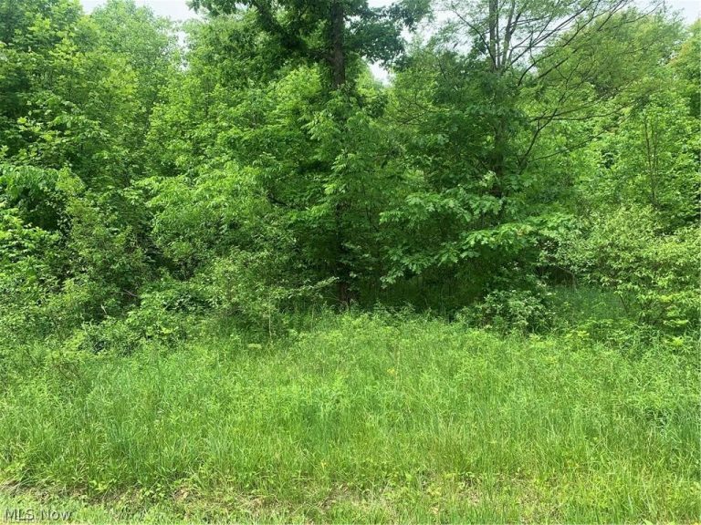Pinney Topper Road, Ashtabula, OH, 44004