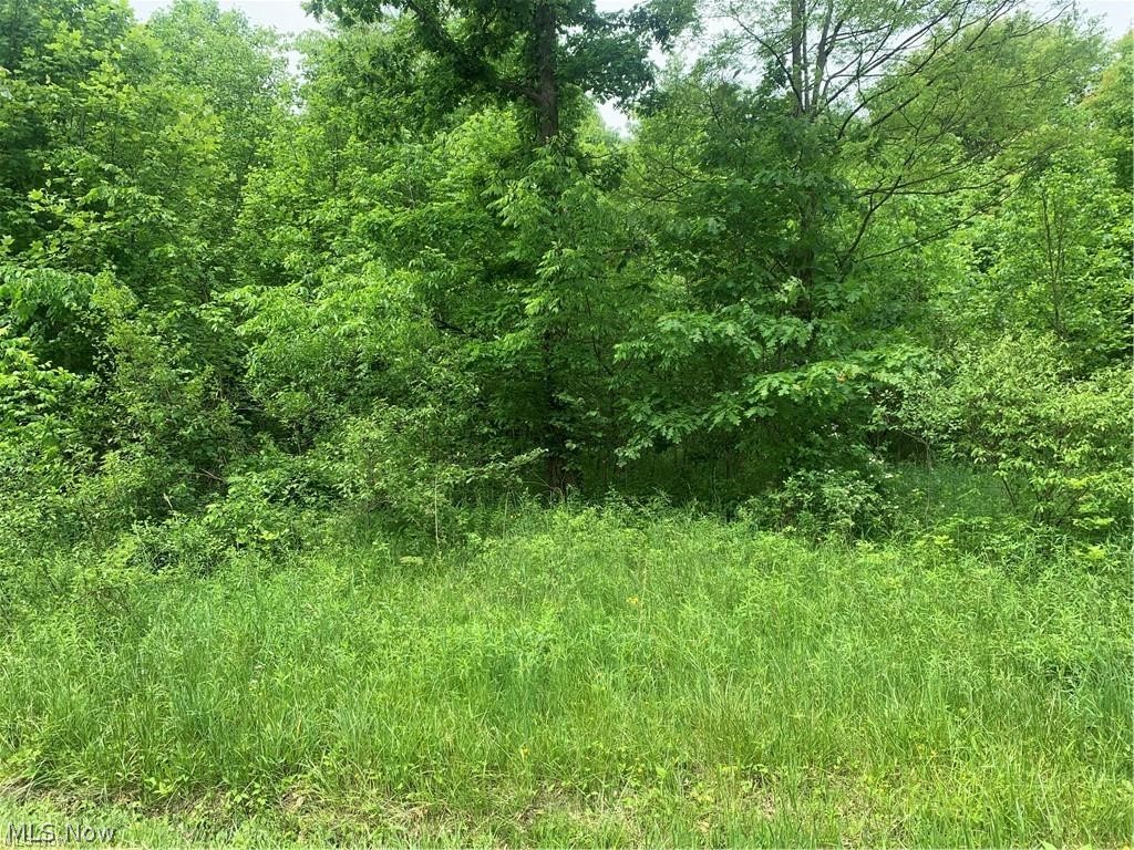 Pinney Topper Road, Ashtabula, OH
