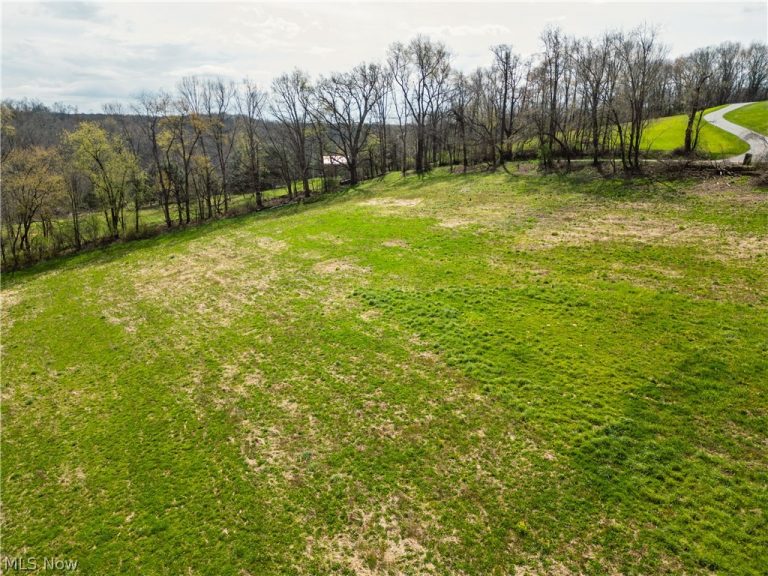 8480 Possum Hollow Road, Dundee, OH - Photo 4