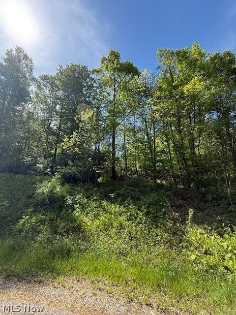 Scott Dr, Newcomerstown, OH, 43832
