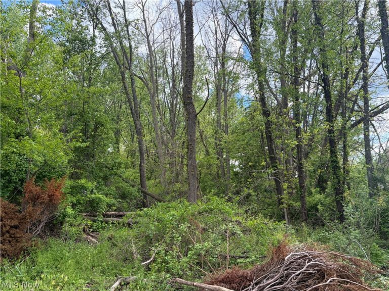 V/L Trenton Road, Akron, OH - Photo 2