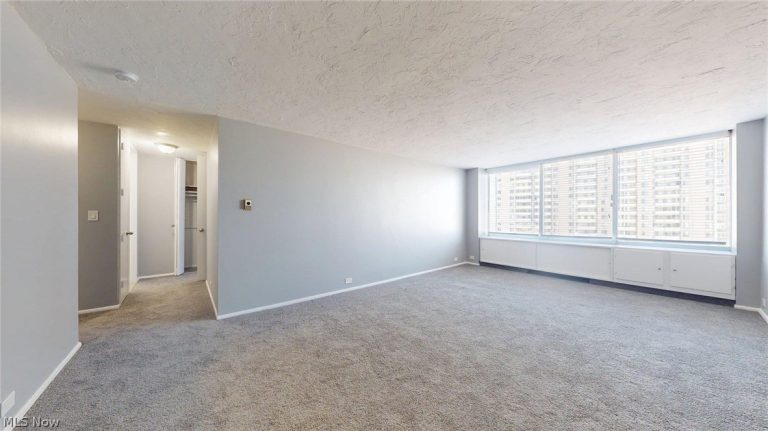 12700 Lake Avenue #804, Lakewood, OH - Photo 8