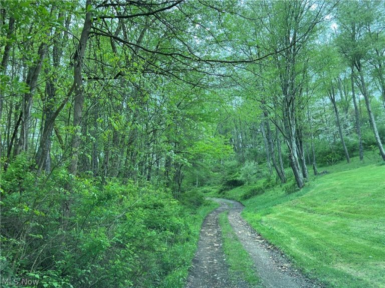 Westbrook Street, Waynesburg, OH - Photo 2