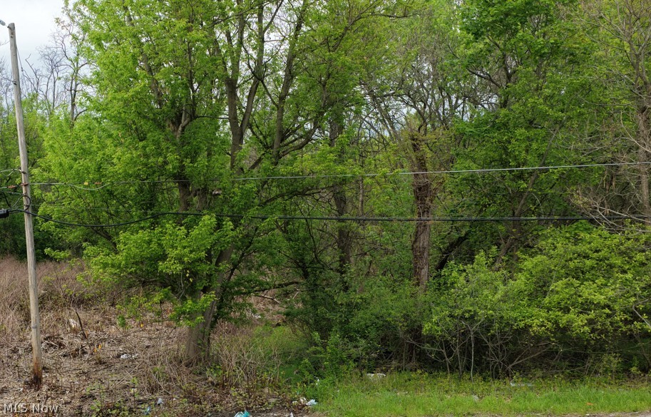 Montgomery Avenue, Campbell, OH
