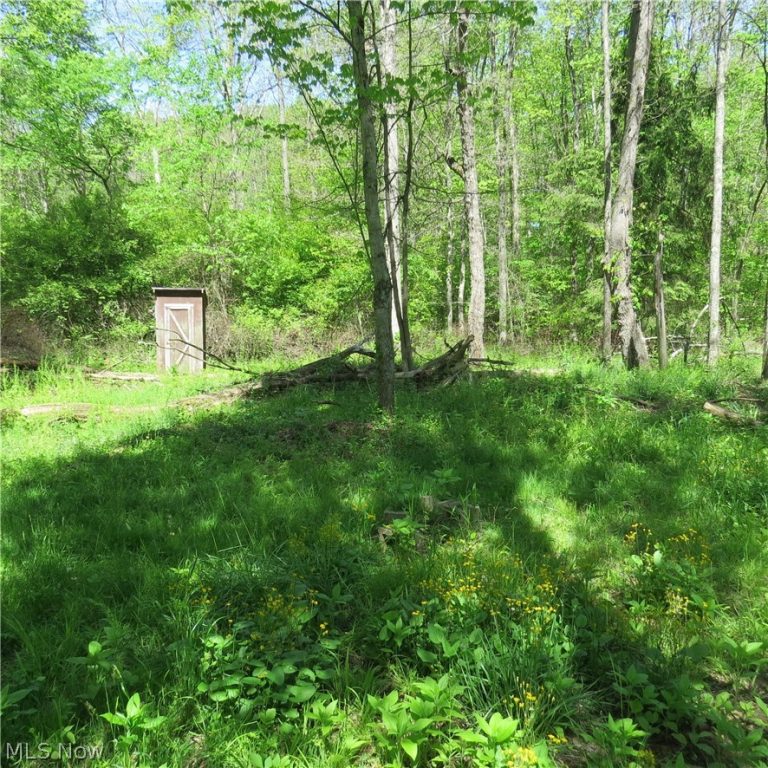 Montero Road, Carrollton, OH - Photo 8