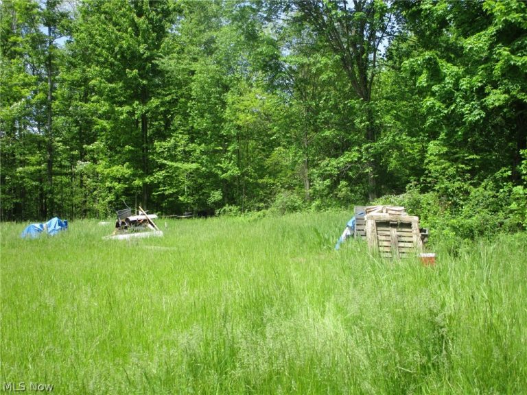VL Doyle Road, Jefferson, OH - Photo 6