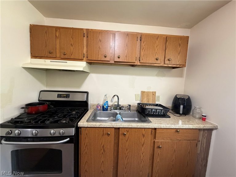 223 Kendall Avenue, Campbell, OH - Photo 6