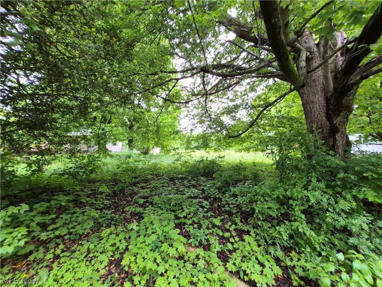Newell Ledge Road, Garrettsville, OH - Photo 2