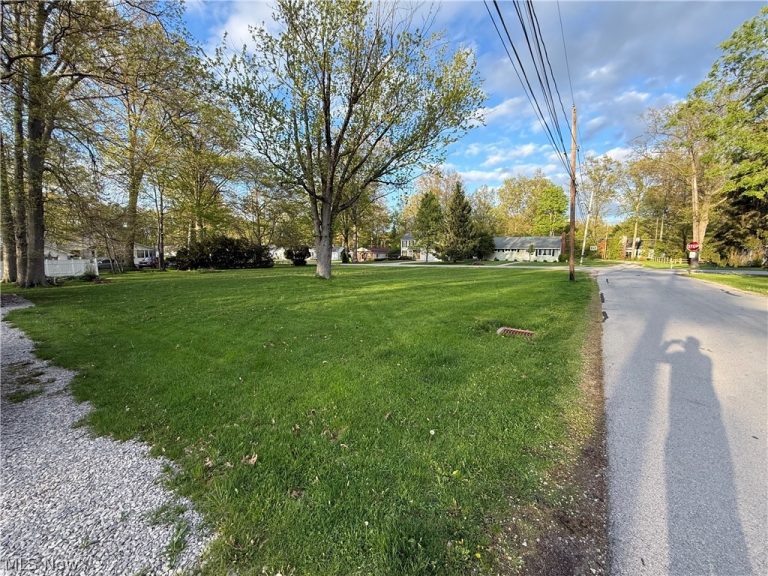 154 Tomahawk Drive, Avon Lake, OH - Photo 8