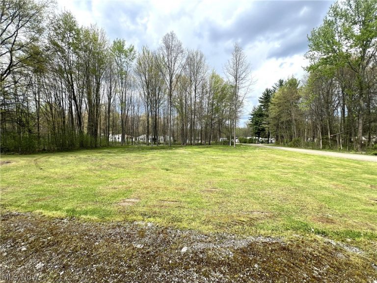 1972 Hercules Drive, Lake Milton, OH - Photo 4