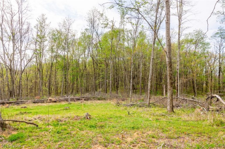 2115 Goss Fork Rd #2, Whipple, OH - Photo 6