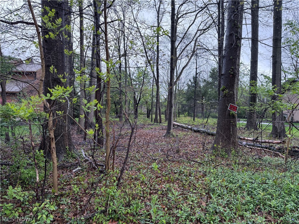 Vincent Road, Silver Lake, OH