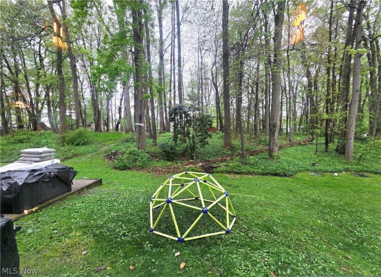 7700 Webster Road, Middleburg Heights, OH - Photo 5