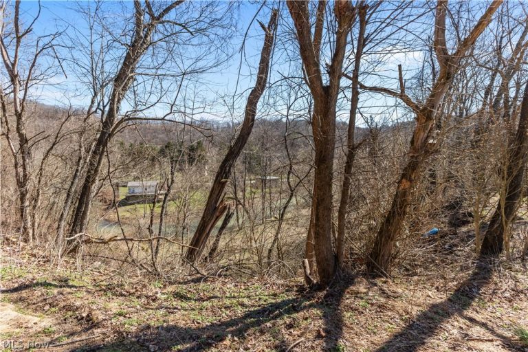 353 Weirton Avenue, Weirton, WV - Photo 4