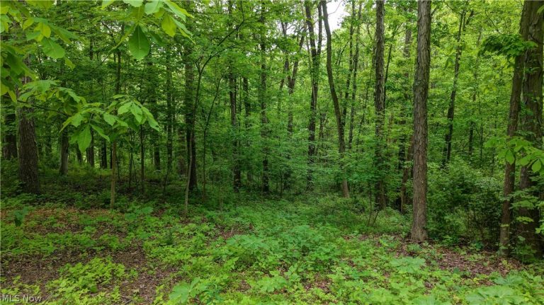 Tatman Road, Uhrichsville, OH - Photo 4