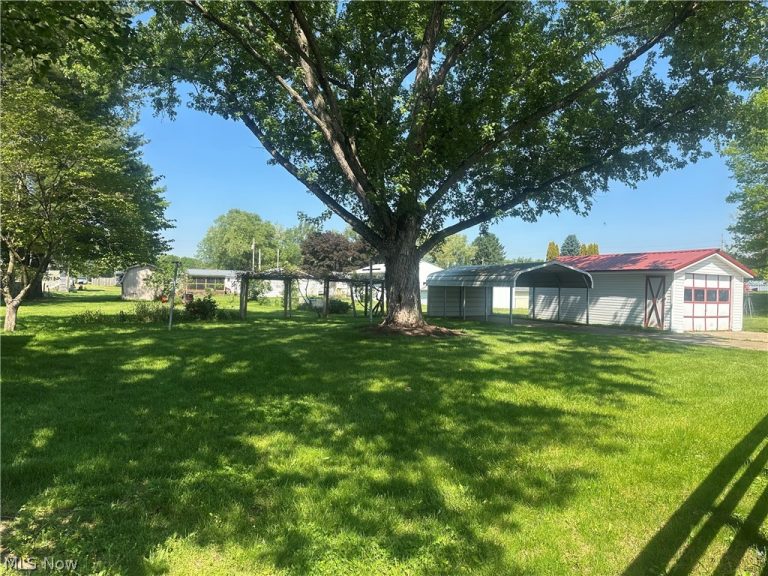 9095 Southview Street, Minerva, OH - Photo 6