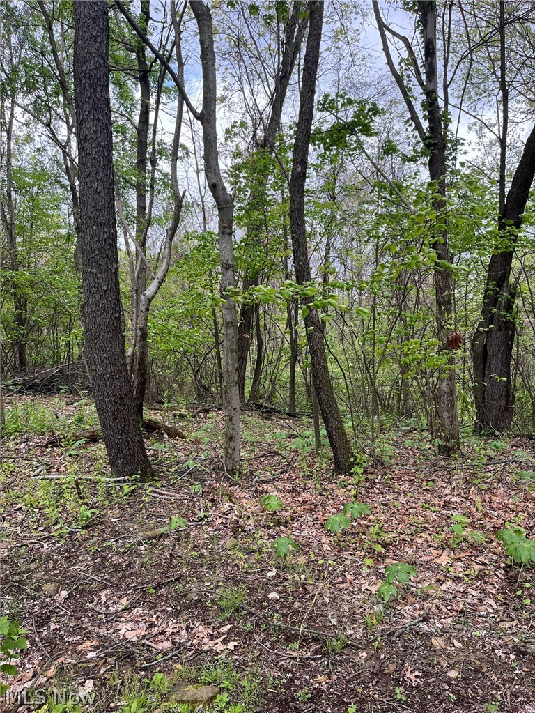 Sandy Ridge Road, Tippecanoe, OH - Photo 4