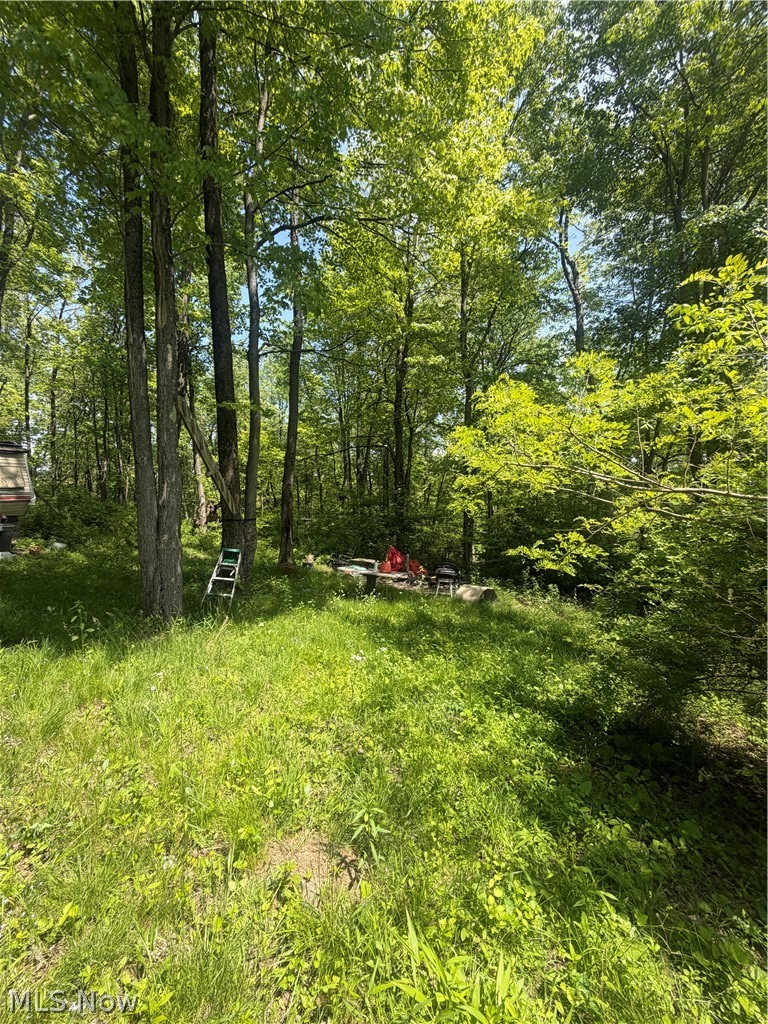 SE ROBINHOOD RD, Dennison, OH - Photo 3