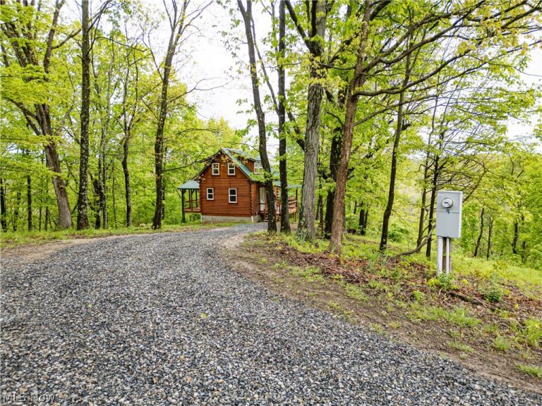 72420 Parker Road, Kimbolton, OH - Photo 8