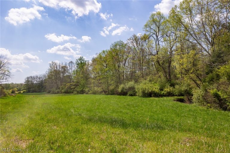 9651 Reno Lane, Hillsboro, OH - Photo 4